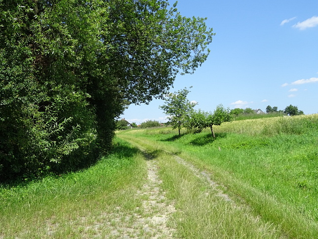 Wrterberg - Rundweg