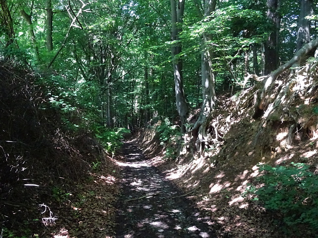 Wrterberg - Rundweg