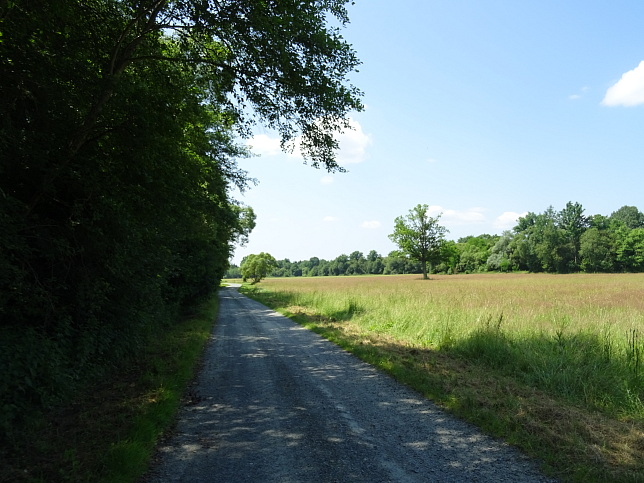 Wrterberg - Rundweg