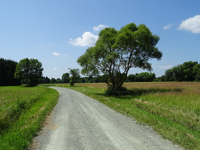 Wrterberg - Rundweg