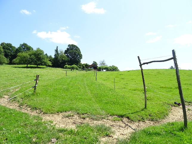 Wrterberg - Rundweg