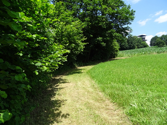 Wrterberg - Rundweg