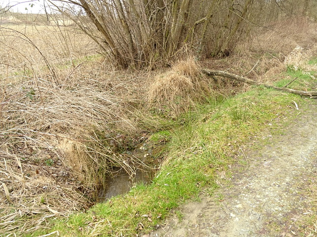 Graben vom Petzischberg