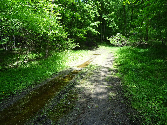 Reinersdorf, Hamerlgraben