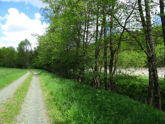 Reinersdorf, Hamerlgraben