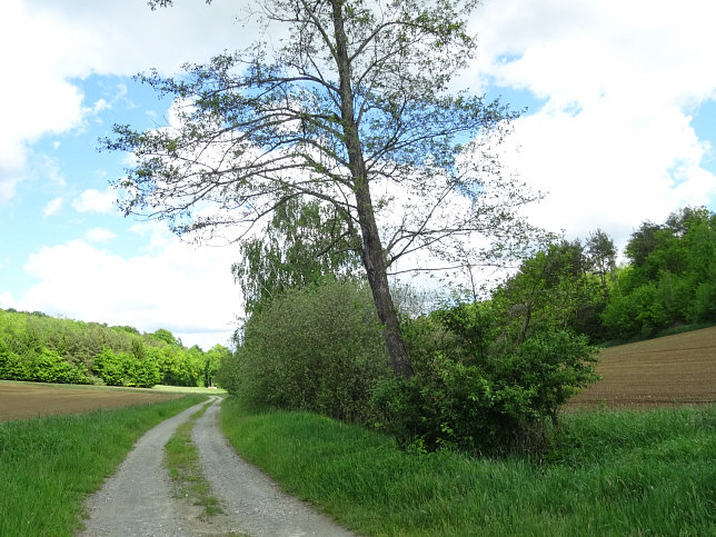 Reinersdorf, Hamerlgraben