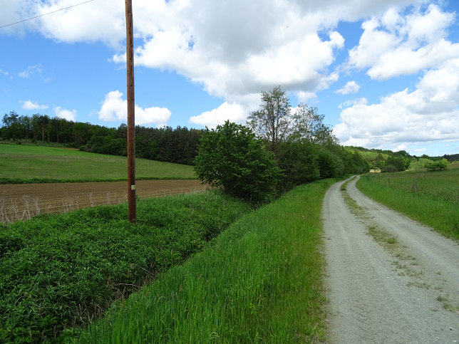 Reinersdorf, Hamerlgraben