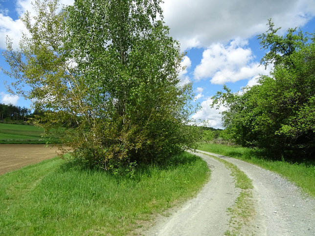 Reinersdorf, Hamerlgraben