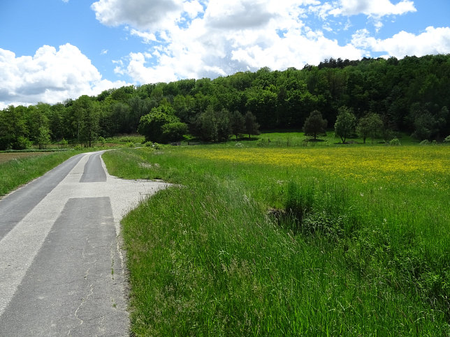 Reinersdorf, Hamerlgraben