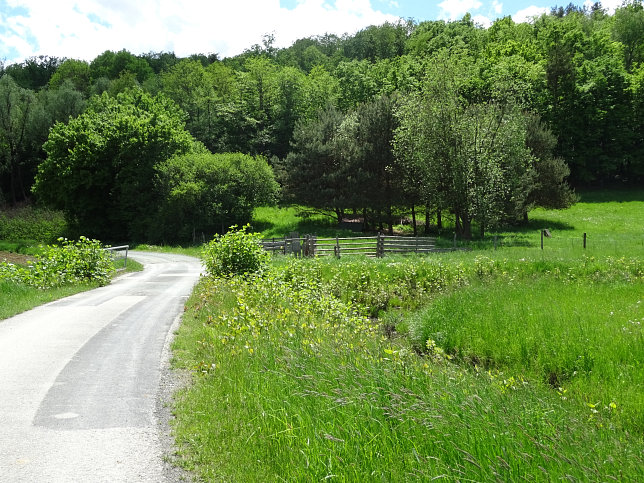 Reinersdorf, Hamerlgraben