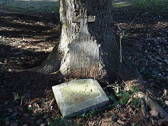 Friedhof Nemesmedves (Ginisdorf)