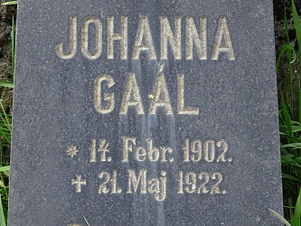 Friedhof Rbafzes (Raabfidisch)