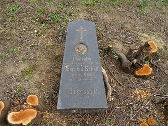 Friedhof Rbafzes (Raabfidisch)