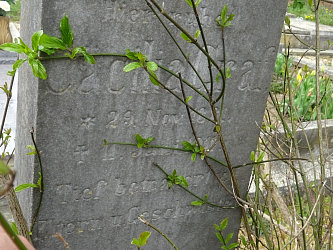 Friedhof Rbafzes (Raabfidisch)