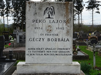 Friedhof Alsrnk neuer Friedhof (Unterradling)