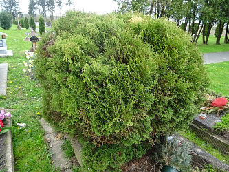 Friedhof Alsrnk neuer Friedhof (Unterradling)