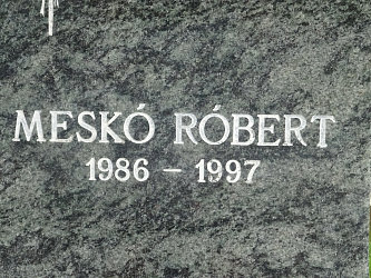 Friedhof Alsrnk neuer Friedhof (Unterradling)