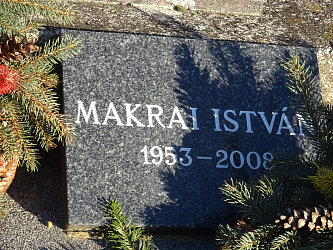 Friedhof Vasszentmihly (Raab-Sankt-Michael)