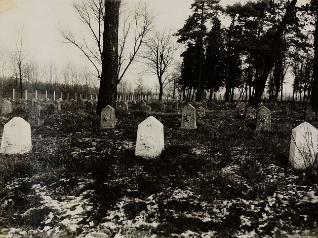 Ostffyasszonyfa, Friedhof der Kriegsgefangenen