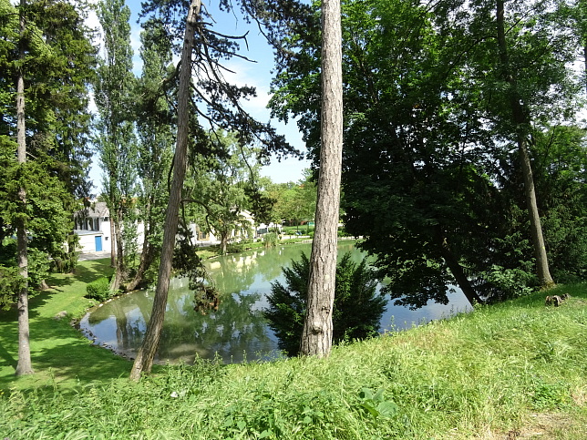 Maschinenteich im Schlosspark