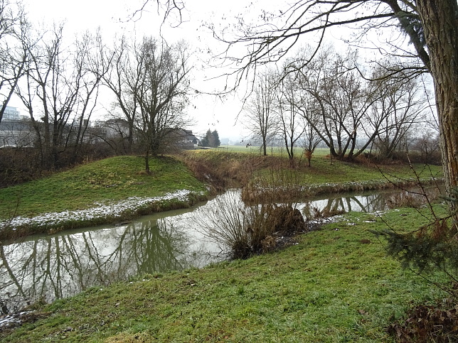 Bach vom Fischteich