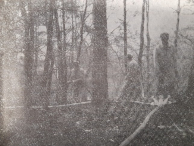 Feuerwehr St. Nikolaus, Waldbrand am 20.4.1971