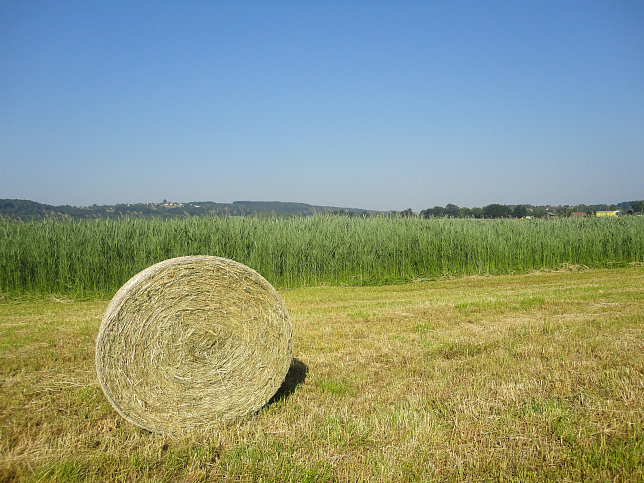 Ramsar Rundwanderweg