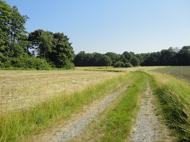 Ramsar Rundwanderweg