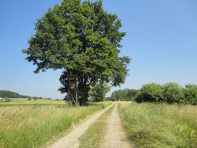 Ramsar Rundwanderweg