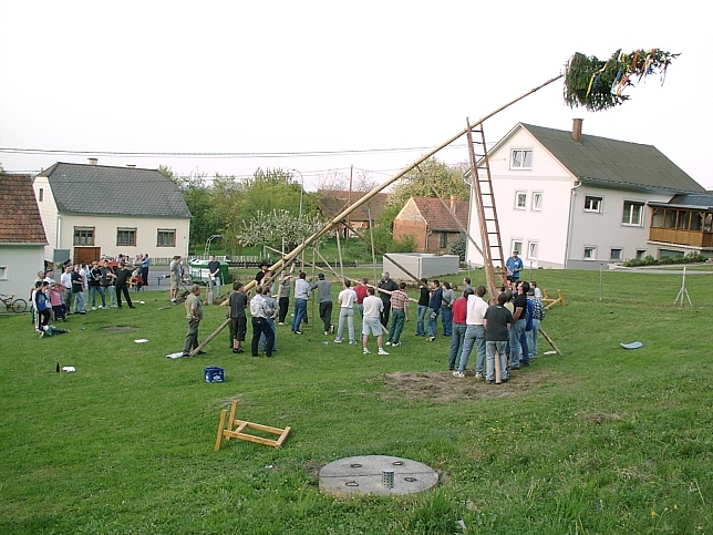 Maibaumaufstellen 30.4.2011