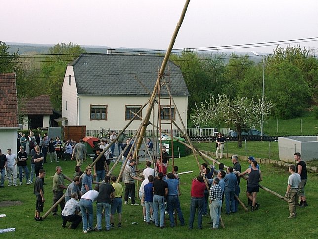 Maibaumaufstellen 30.4.2011