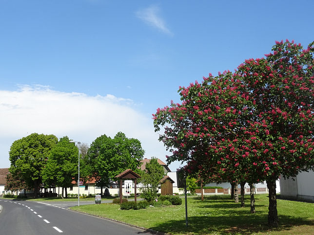 Deutsch Schtzen, Dorfplatz