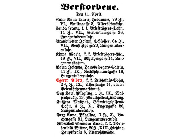 Albert Egerer, Sohn