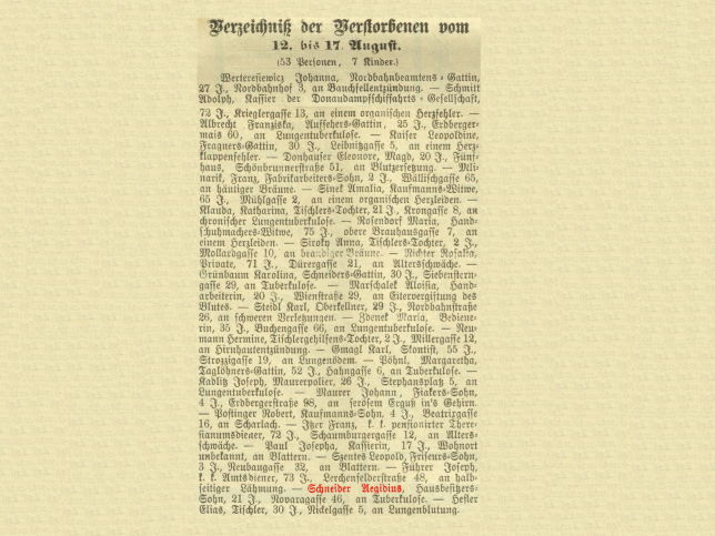 Egidius Schneider (Sohn)