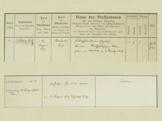 Elisabeth Sch�pfleuthner