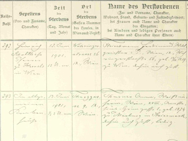 Ferdinand Fleischmann