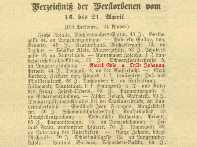 Johanna Edle von Wacek-Orlicc