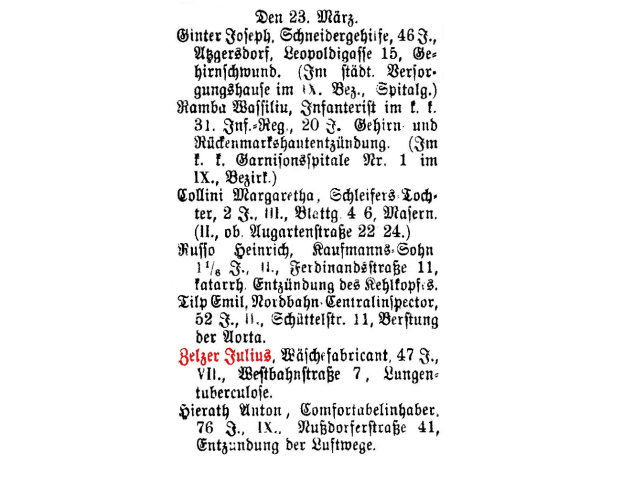 Julius Zelzer (Kind)