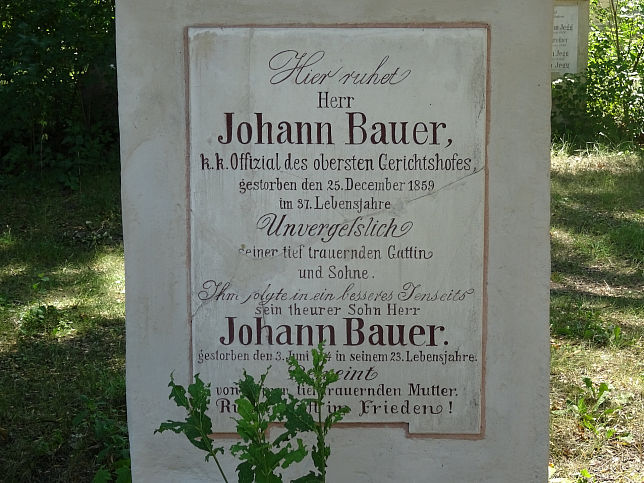 Johann Bauer