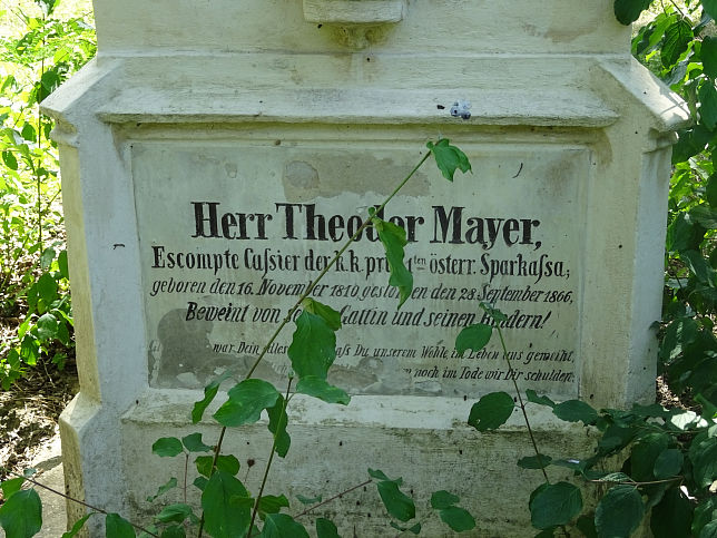 Theodor Mayer