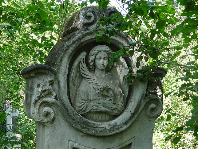 Gustav Maria Jger