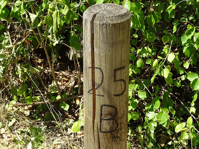 Gruppe 25B