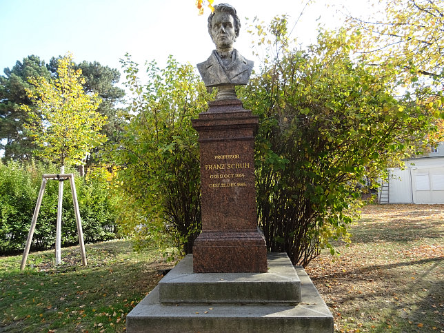 Franz Schuh-Denkmal