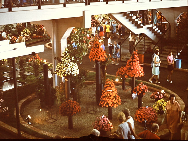 WIG 1974