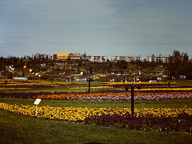 WIG 1974