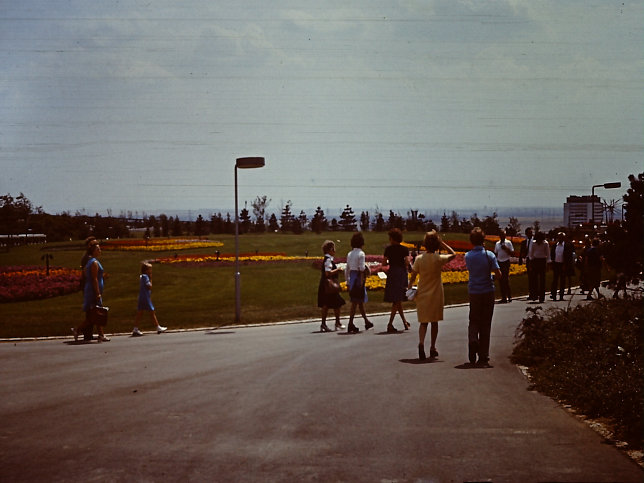 WIG 1974