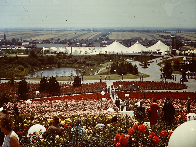 WIG 1974