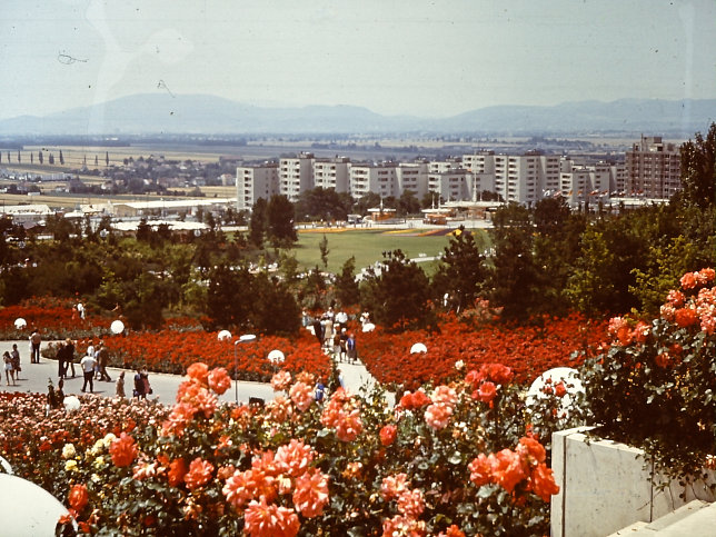 WIG 1974