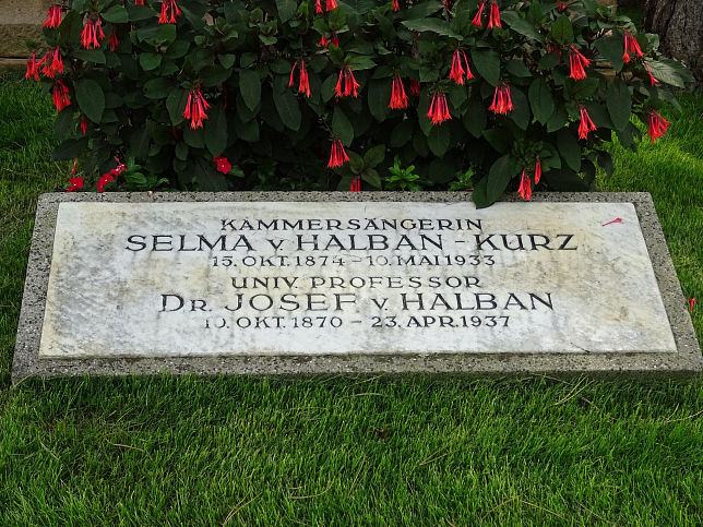 Selma Halban-Kurz
