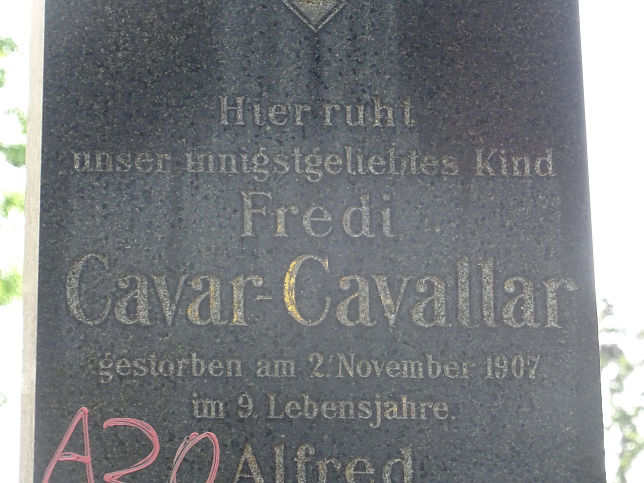 Alfred Cavar-Cavallar